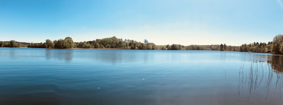 IMG_E2448.JPG - 44milapara42