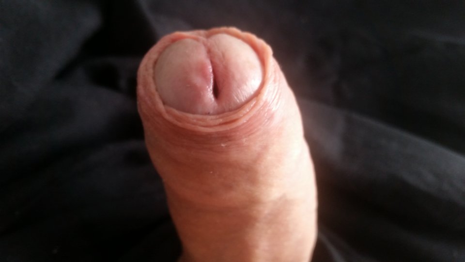 20180909_114505.jpg - lovejoy1