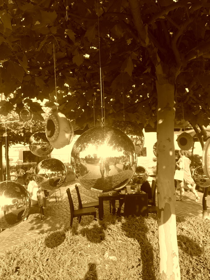 20180909_162851.jpg - BoscyMy