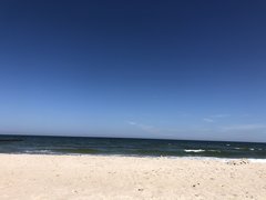 IMG_4102.jpg