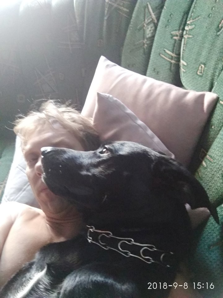 IMG_20180908_151639.jpg - kubba2677