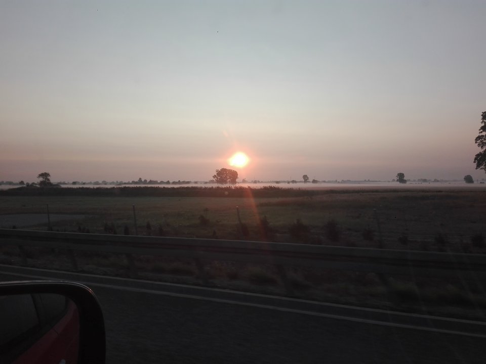 IMG_20180829_062734.jpg - Mich1977