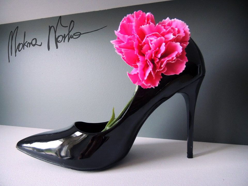 mokranorka - MokraNorkapl