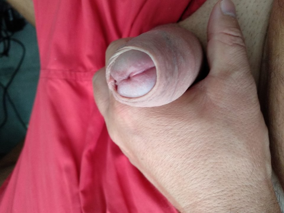 1536740300267261696236715142801.jpg - tlmass