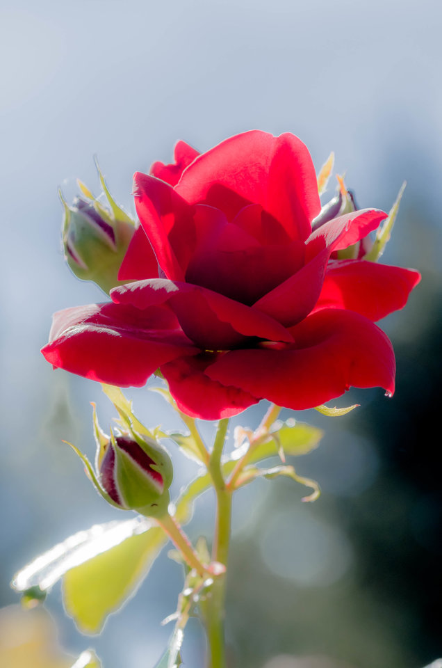 W blasku południa - mystic