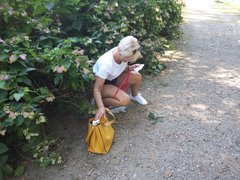 20180910_113905.jpg