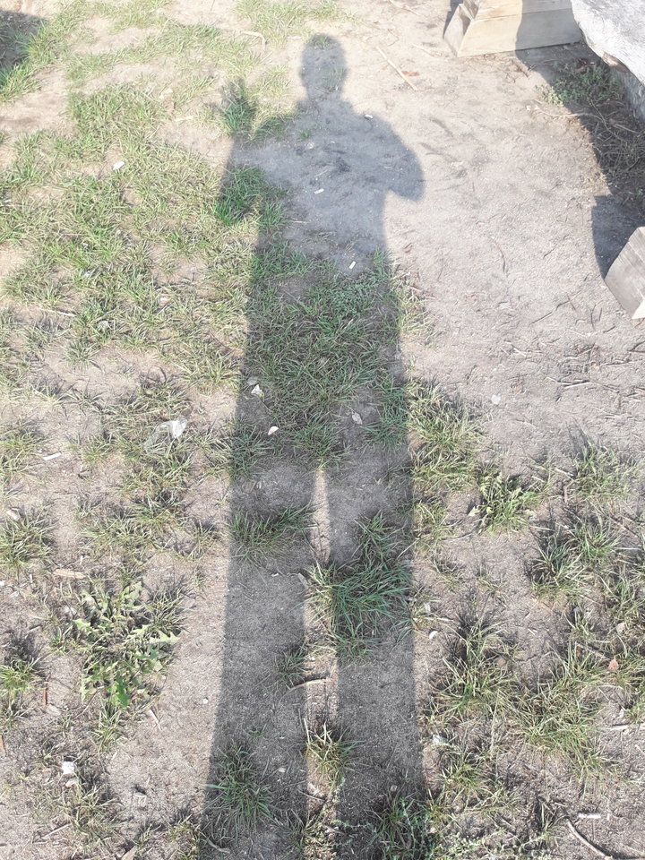 20180915_095804.jpg - niesmialy6969