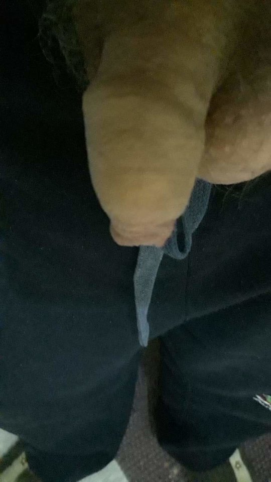 received_504209709989538.jpeg - bizon334