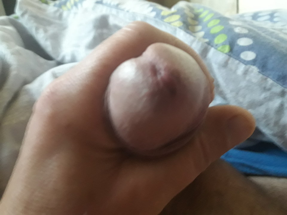 20180919_064221.jpg - jorkRe100567