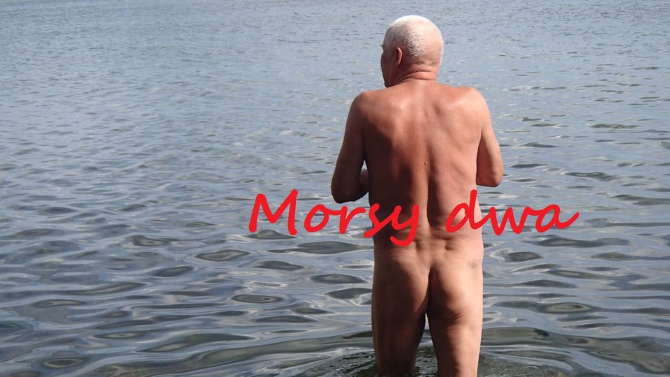 B.D. - Morsy_dwa