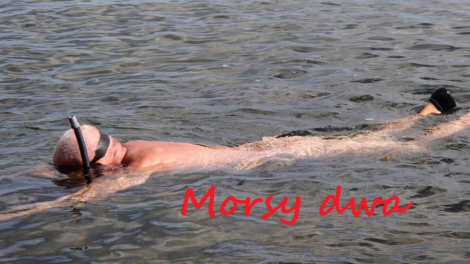 B.D. - Morsy_dwa