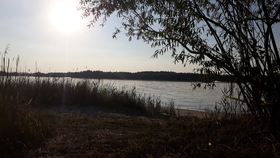 20180920_171007.jpg - DRX001