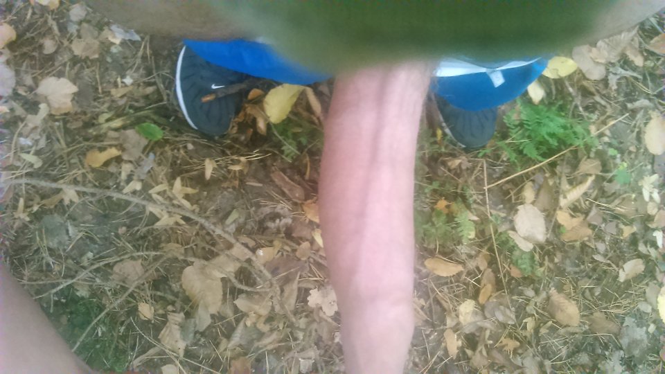 DSC_0368.JPG - omegakee