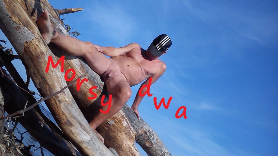 B.D. - Morsy_dwa