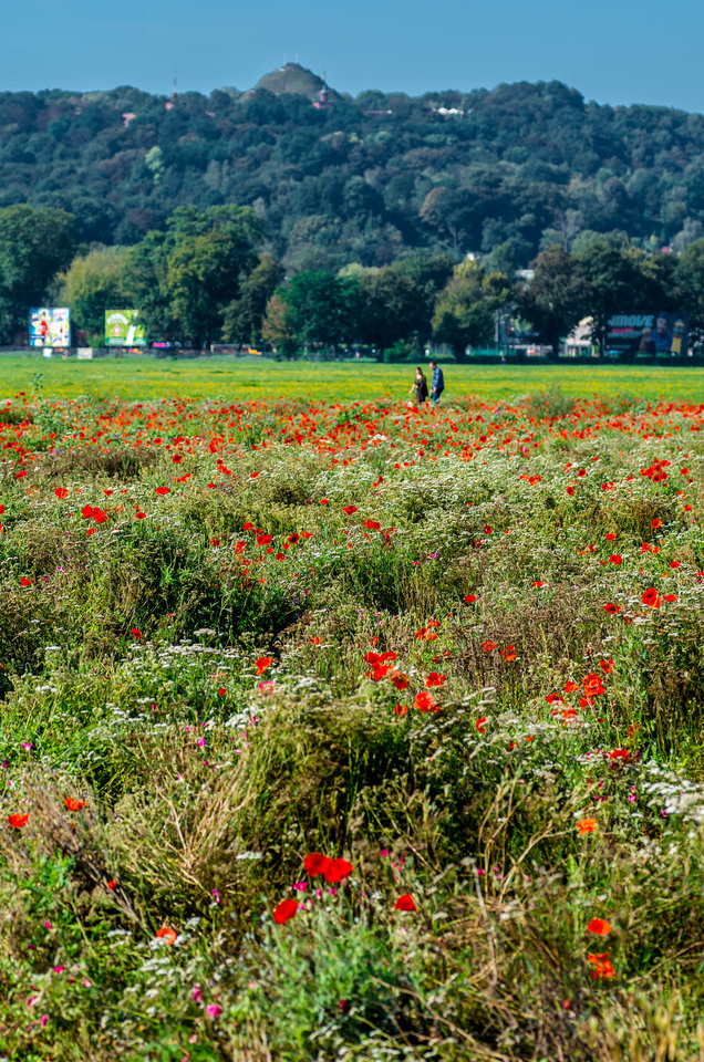 Bo na Błoniach fajnie jest - mystic