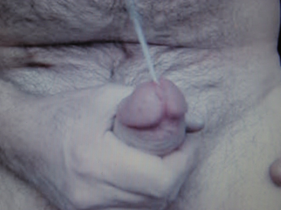 PA280216.JPG - jamnik7522