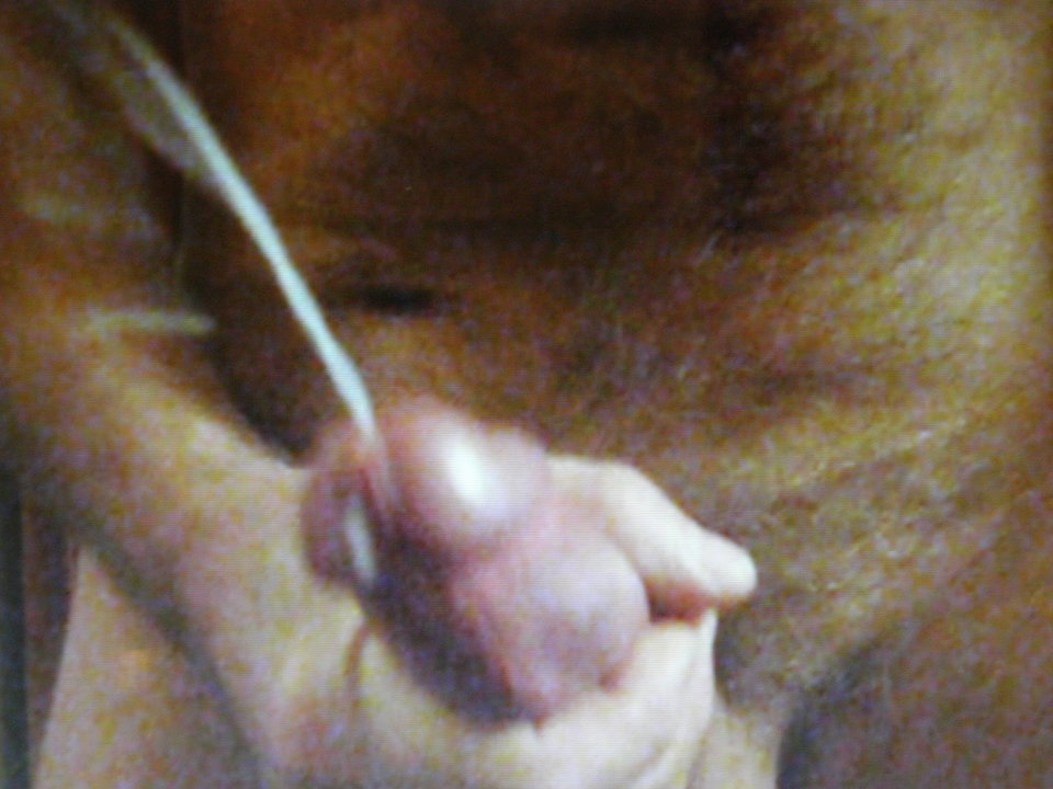 P9300224.JPG - jamnik7522