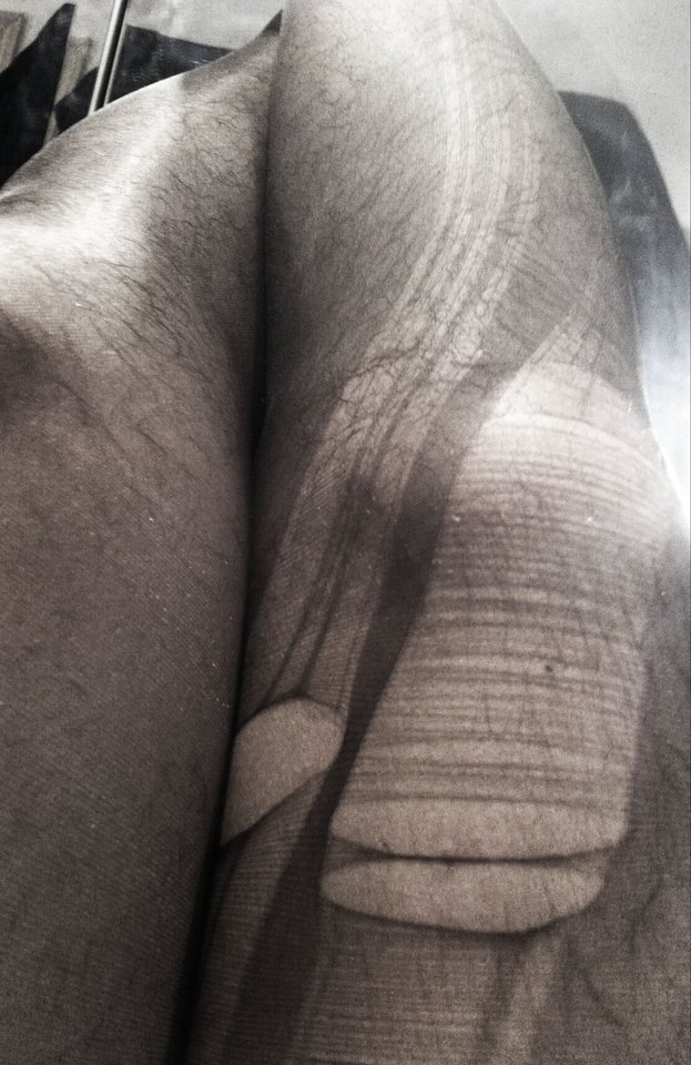 IMG_20180924_131333.jpg - RATCVAC