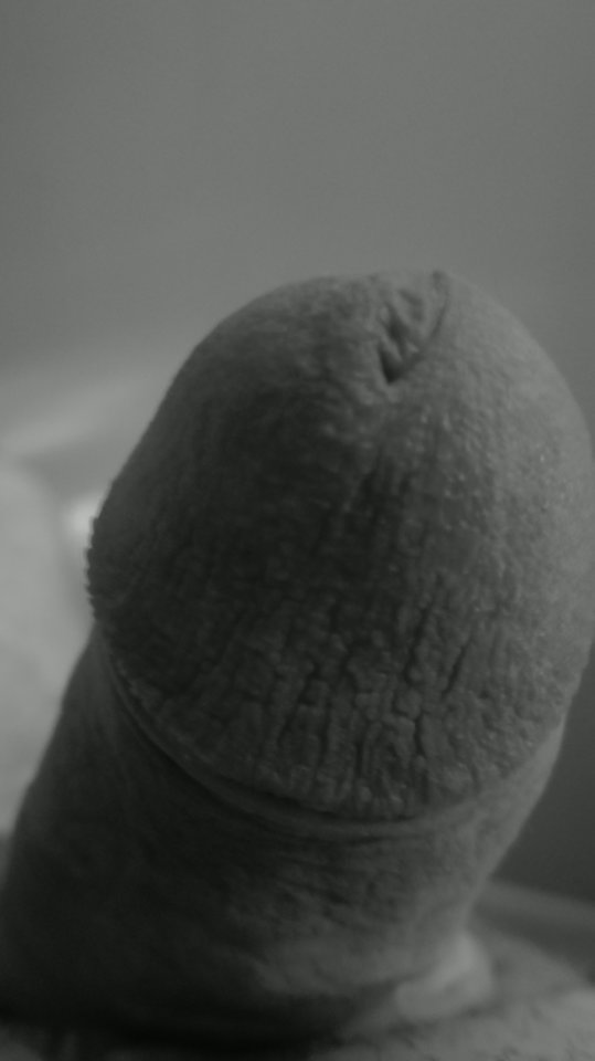 IMG_20180924_165747.jpg - FanPan1977