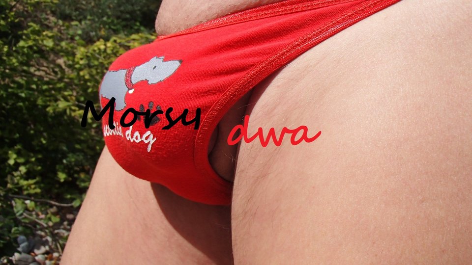 Letnie remanenty. - Morsy_dwa
