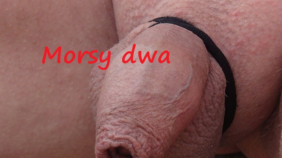 Letnie remanenty. - Morsy_dwa