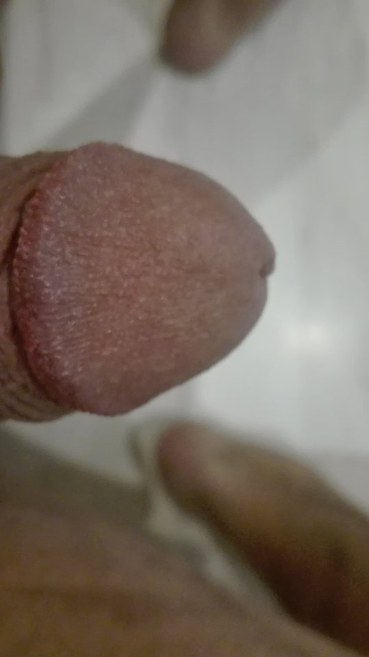 IMG_20180928_201238.jpg - FanPan1977