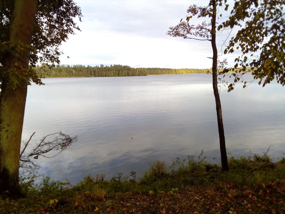 93D40308-66F8-4DAB-AA79-0C567AE4BA8F.jpeg - Naklowed