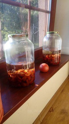 20180927_163946.jpg