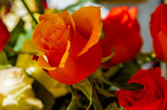 A ja lubię pomarańcze