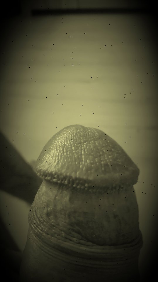 IMG_20180930_101934.jpg - FanPan1977