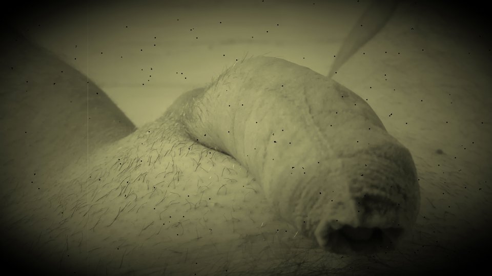 IMG_20180930_102004.jpg - FanPan1977