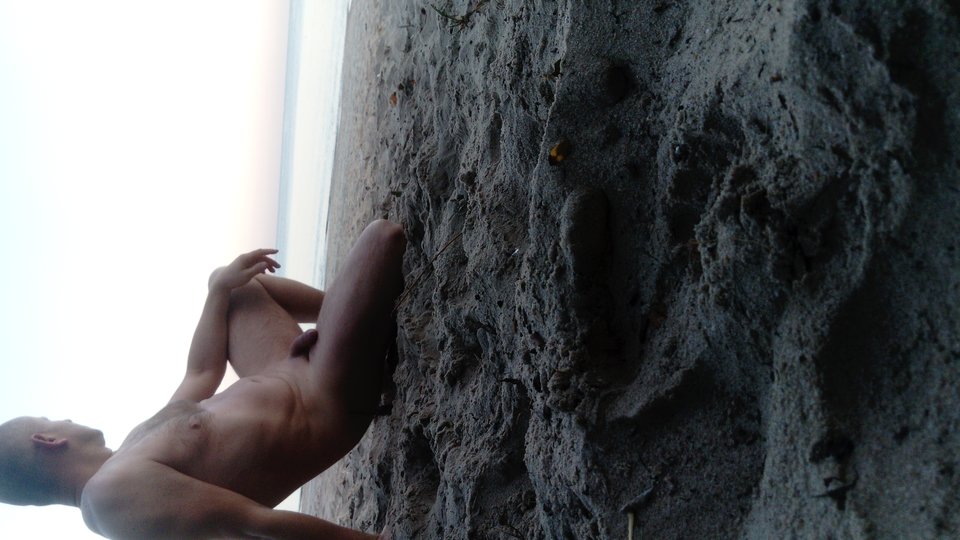 DSC_0705.JPG - 20pala