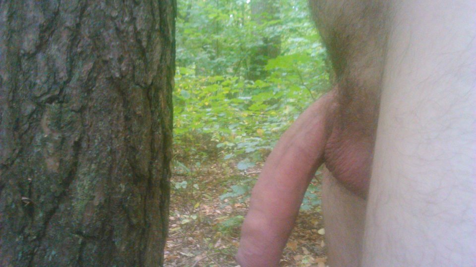 DSC_0360.JPG - omegakee