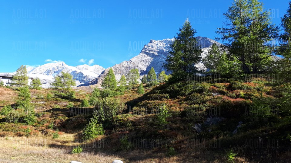 20181003_161719.jpg - aquila81