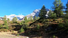 20181003_161719.jpg