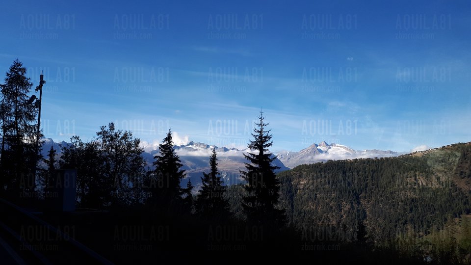 20181003_160335.jpg - aquila81