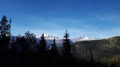20181003_160335.jpg
