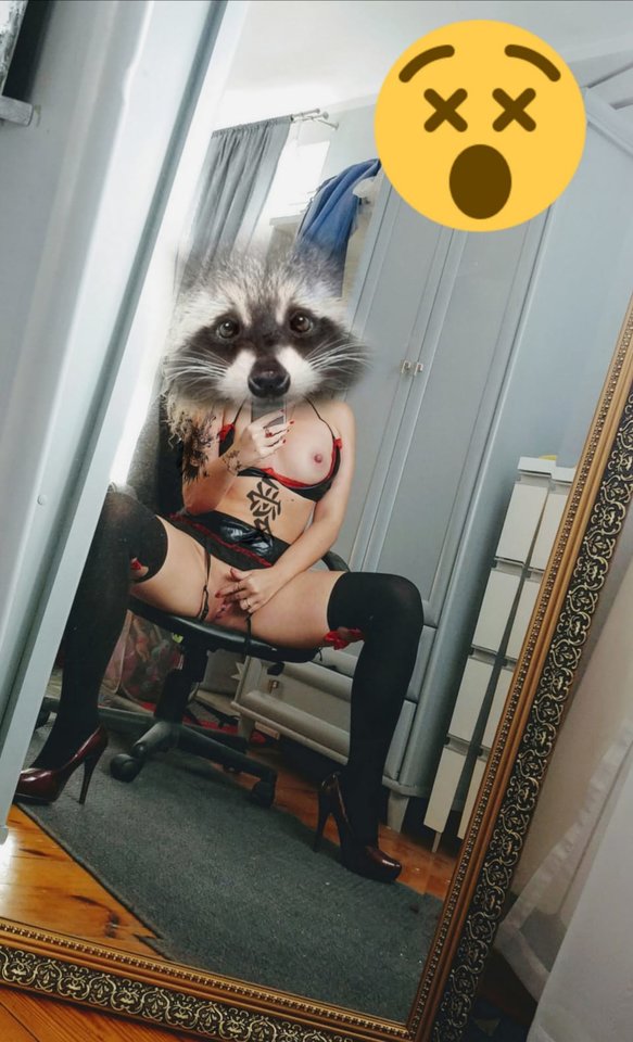 IMG-20181004-WA0032.jpg - ParaWroc3626