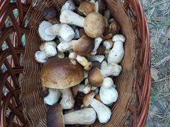 20180930_171548.jpg