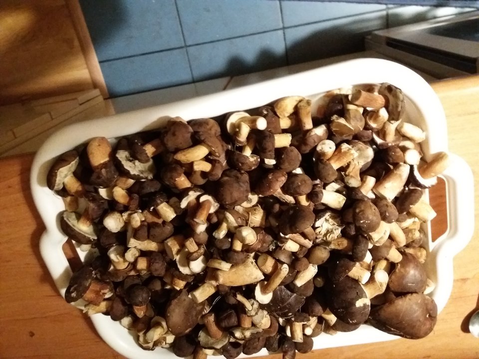 20181010_182328.jpg - sofia64