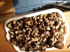 20181010_182328.jpg