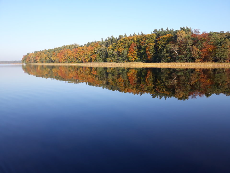 koniec sezonu - WIDAR1return