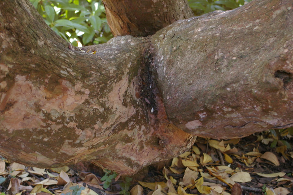 63..JPG - sexydolly69