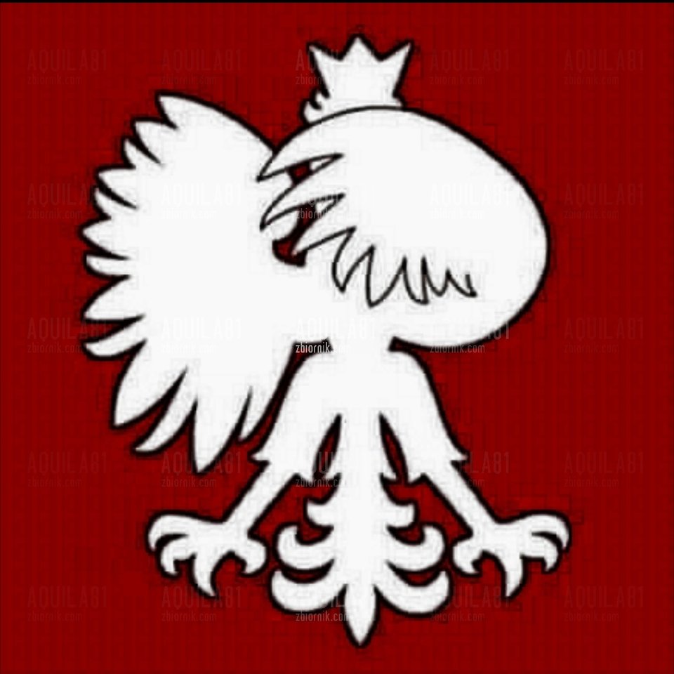 20181013_124114.jpg - aquila81