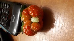 20181012_222738.jpg