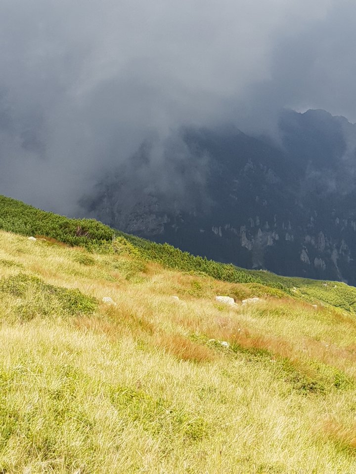 20180723_140204.jpg - ZakazanaStrefa