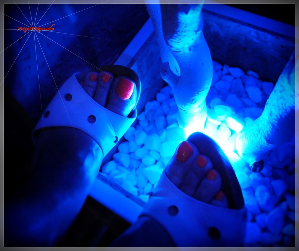 Bluelight - 100pa100peczka