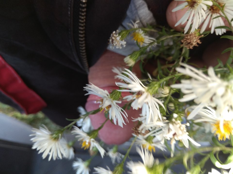 1539685802318661657214.jpg - Bi_Kross_80