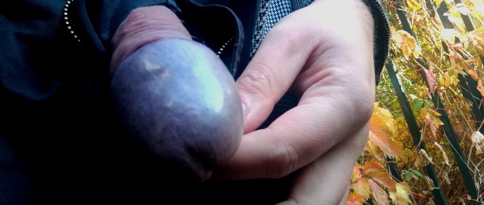 IMG_20181016_135409.jpg - RATCVAC