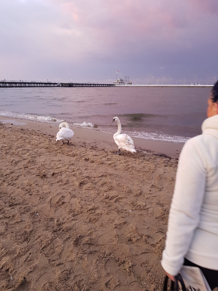 210.jpg - reporter13